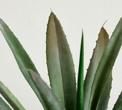 Faux Composed Agave Plant