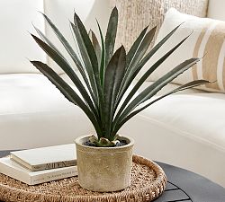 Faux Composed Agave Plant