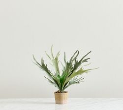 Faux Potted Staghorn Fern