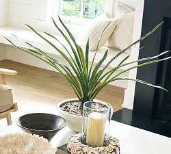 Faux Potted Draping Succulent