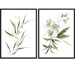 Tree Peonies &amp; Seeded Eucalyptus by Kelly Ventura