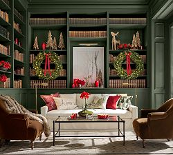 A Winter Perspective Framed Print