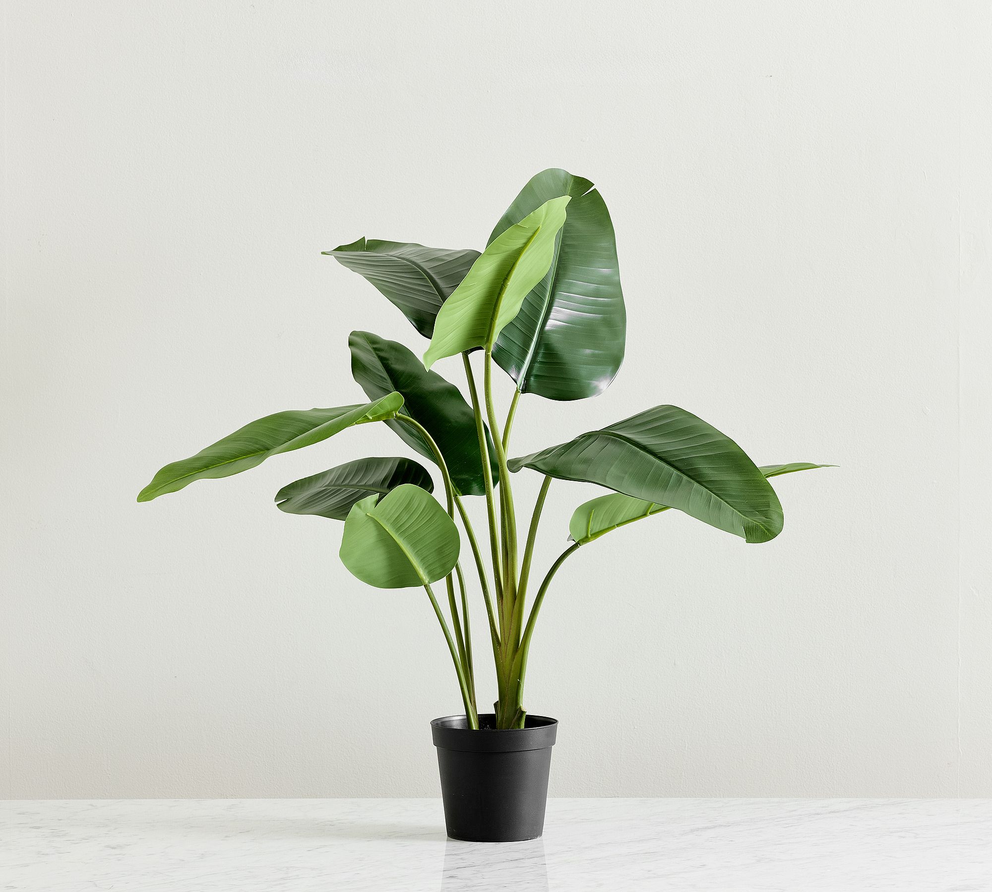 Faux Banana Palm Tree | Pottery Barn