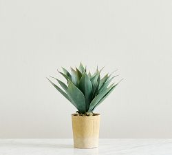 Faux Composed Agave Root Plant