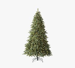 Open Box: Lit Deluxe Noble Fir With Clear LED Lights (7')