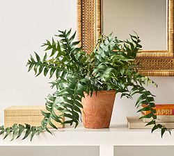 Faux Potted Trailing Sword Fern