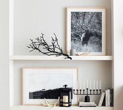 Forest Guardian by Meg Haywood Sullivan