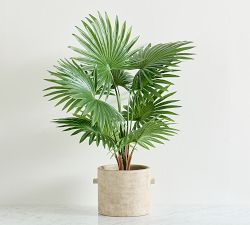 Faux Potted Fan Palm