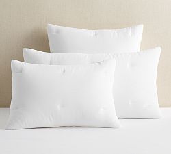 Dream Brushed Cotton Sateen Comforter Sham