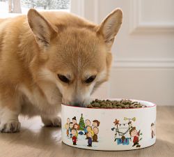 Charlie Brown™ Christmas Pet Bowl