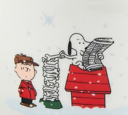 Charlie Brown™ Christmas Pet Bowl