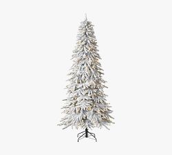 Tree Classics by Balsam Hill Lit Flocked Snow Pine Faux Christmas Tree