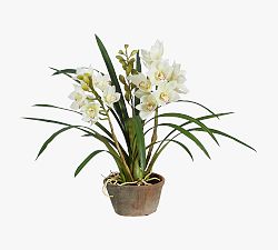 Faux Cymbidium In Planter