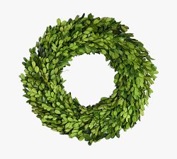 Preserved Boxwood Wreath