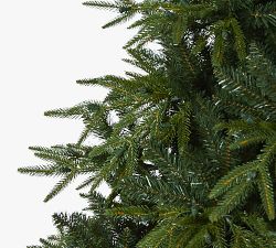 Faux Lit Colorado Mountain Fir