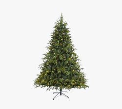 Faux Lit Colorado Mountain Fir