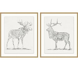 Moose &amp; Elk Gesture Framed Print