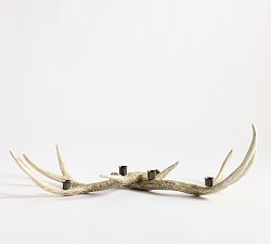 Open Box: Antler Taper Centerpiece, Natural