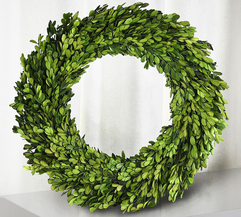 Preserved Boxwood Wreath - 20" - Green