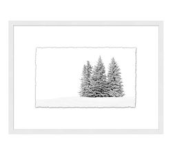Snowy Needles Framed Print