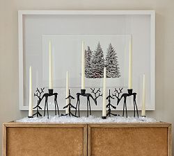 Snowy Needles Framed Print