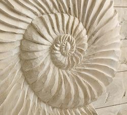 Wooden Shell Carved Wall Art