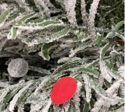 Open Box: Lit Slim Flocked Nova Scotia Spruce Faux Christmas Tree (5')