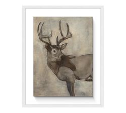 King of the Woodlands Framed Canvas Print