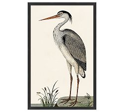 Open Box: Potted Heron Framed Print, Print #2 (19.25" x 30.25") - Matte Black