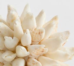 Decorative Shell Ball