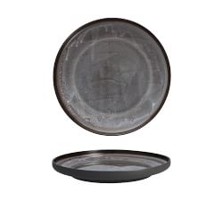 Fortessa Northern Lights Dinner Plates - Set of 4