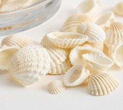 Mini Shell Vase Filler