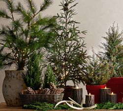 Faux Lit Cedar Berry Pine Tree