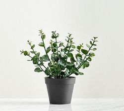 Faux Potted Silver Dollar Mini Eucalyptus