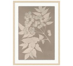 Hints of Nature Framed Print