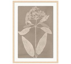 Hints of Nature Framed Print