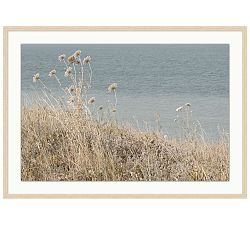 Untamed by Tara Hogan