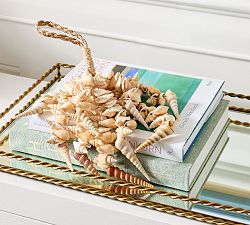Cream Seashell Rope Object