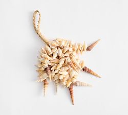 Cream Seashell Rope Object