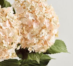 Faux Cream Hydrangea Bundle
