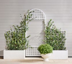 Garden Trellis
