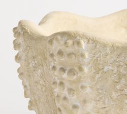 Sea Urchin Decorative Bowl