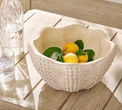 Sea Urchin Decorative Bowl