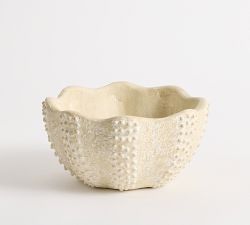 Sea Urchin Decorative Bowl