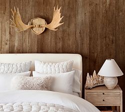 Moose Antlers