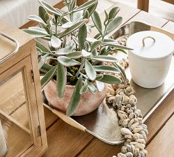 Salana Tray