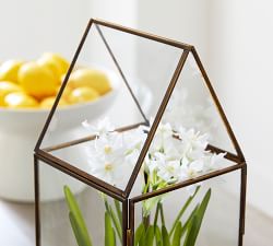 Faux Potted Paperwhites