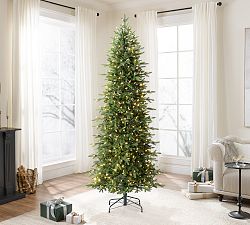 Tree Classics by Balsam Hill Lit Oregonian Slim Faux Christmas Tree