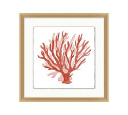 Red Coral Framed Print