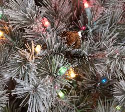 Lit Faux Lightly Flocked Scotch Pine Tree with Pinecones
